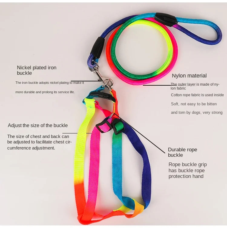 Dog Pet Leash + Harness Two-Piece Set Cat Leash Colorful Pet Harness Round Rainbow Color Cat Leash Dog Chain