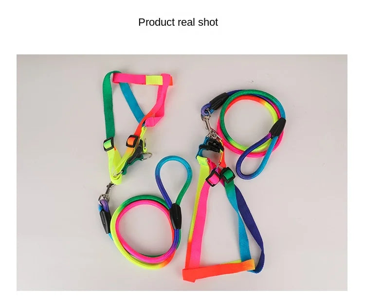 Dog Pet Leash + Harness Two-Piece Set Cat Leash Colorful Pet Harness Round Rainbow Color Cat Leash Dog Chain