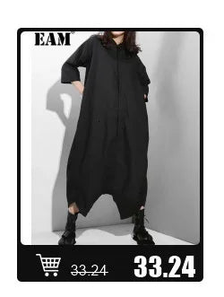 [EAM] High Elastic Waist Black Pleated Mesh Casual A-line Half-body Skirt Women Fashion Tide New Spring Autumn 2026  1DH5148
