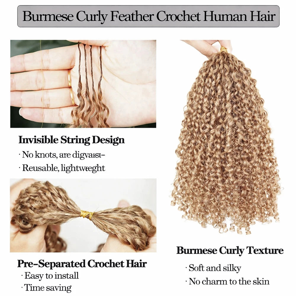 Honey Blonde Kinky Curly Feather Crochet Human Hair Extensions Knotless Pre-Separated Boho Braids Burmese Curly Invisible Knots