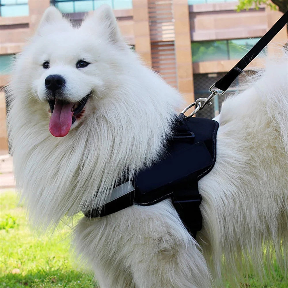 Multifunctional Dog Leash,Adjustable Length Multipurpose for Medium & Large Dogs,Convertible Hands Free,Crossbody,Over Shoulder