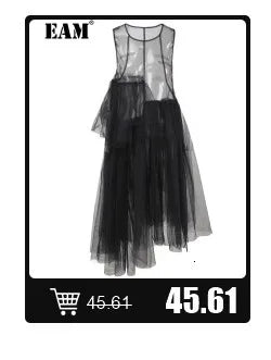 [EAM] High Elastic Waist Black Pleated Mesh Casual A-line Half-body Skirt Women Fashion Tide New Spring Autumn 2026  1DH5148