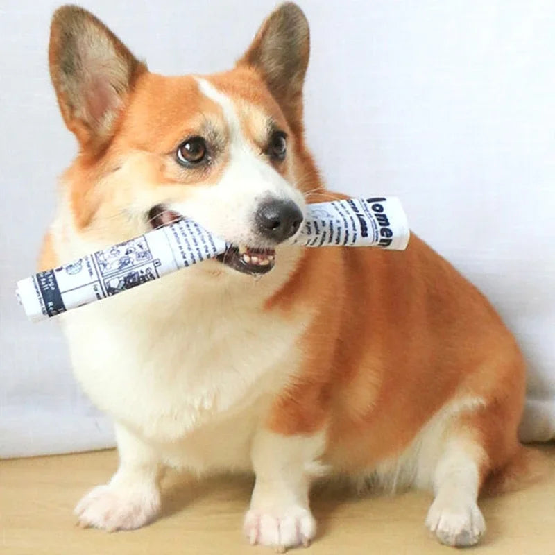 Dog Squeak Toy Puppy Toy Unstuffed Chew Toy for Dog Teething Soft Pet Toy Newspaper Shaped Bright Colors