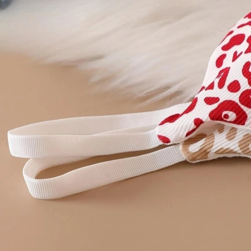 Women V-neck Bra And Panties Set Low Waist Panties Female Sexy Lingerie Set Leopard Print Cotton Bra Sport Underwear Set