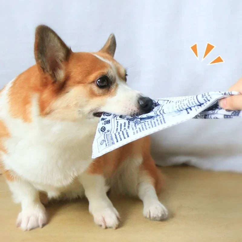Dog Squeak Toy Puppy Toy Unstuffed Chew Toy for Dog Teething Soft Pet Toy Newspaper Shaped Bright Colors