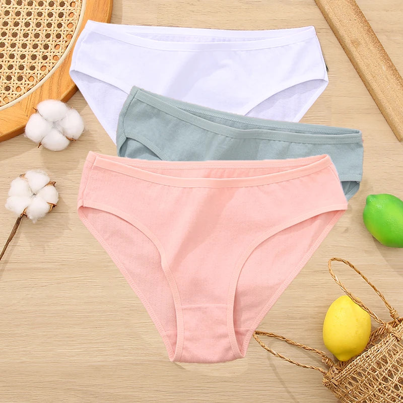 3PCS/Set Cotton Panties Women Briefs Jacquard Design Women Panties Sexy Female Underpants Solid Color Intimate Pantys S-XL
