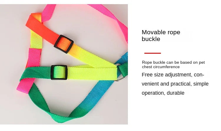 Dog Pet Leash + Harness Two-Piece Set Cat Leash Colorful Pet Harness Round Rainbow Color Cat Leash Dog Chain