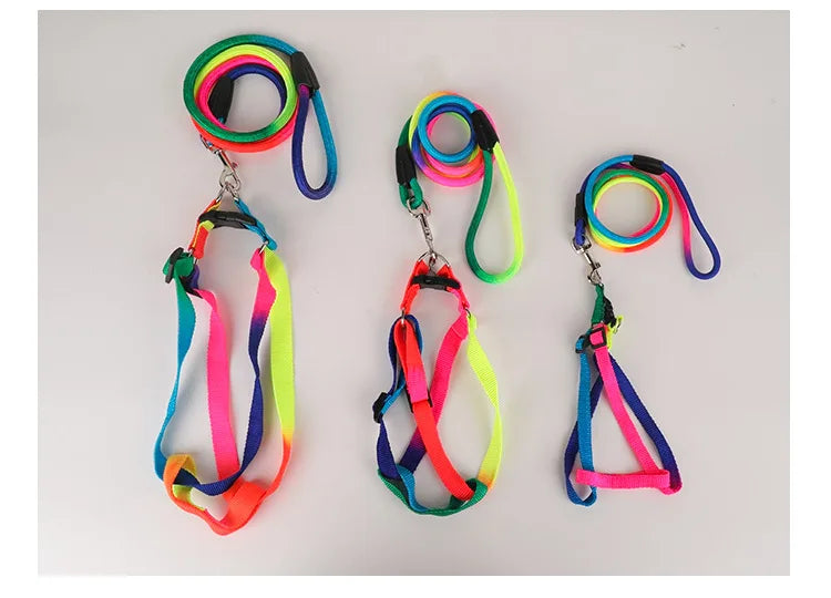 Dog Pet Leash + Harness Two-Piece Set Cat Leash Colorful Pet Harness Round Rainbow Color Cat Leash Dog Chain