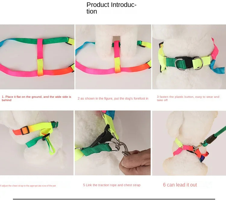 Dog Pet Leash + Harness Two-Piece Set Cat Leash Colorful Pet Harness Round Rainbow Color Cat Leash Dog Chain