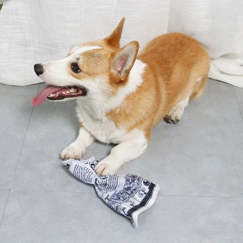 Dog Squeak Toy Puppy Toy Unstuffed Chew Toy for Dog Teething Soft Pet Toy Newspaper Shaped Bright Colors
