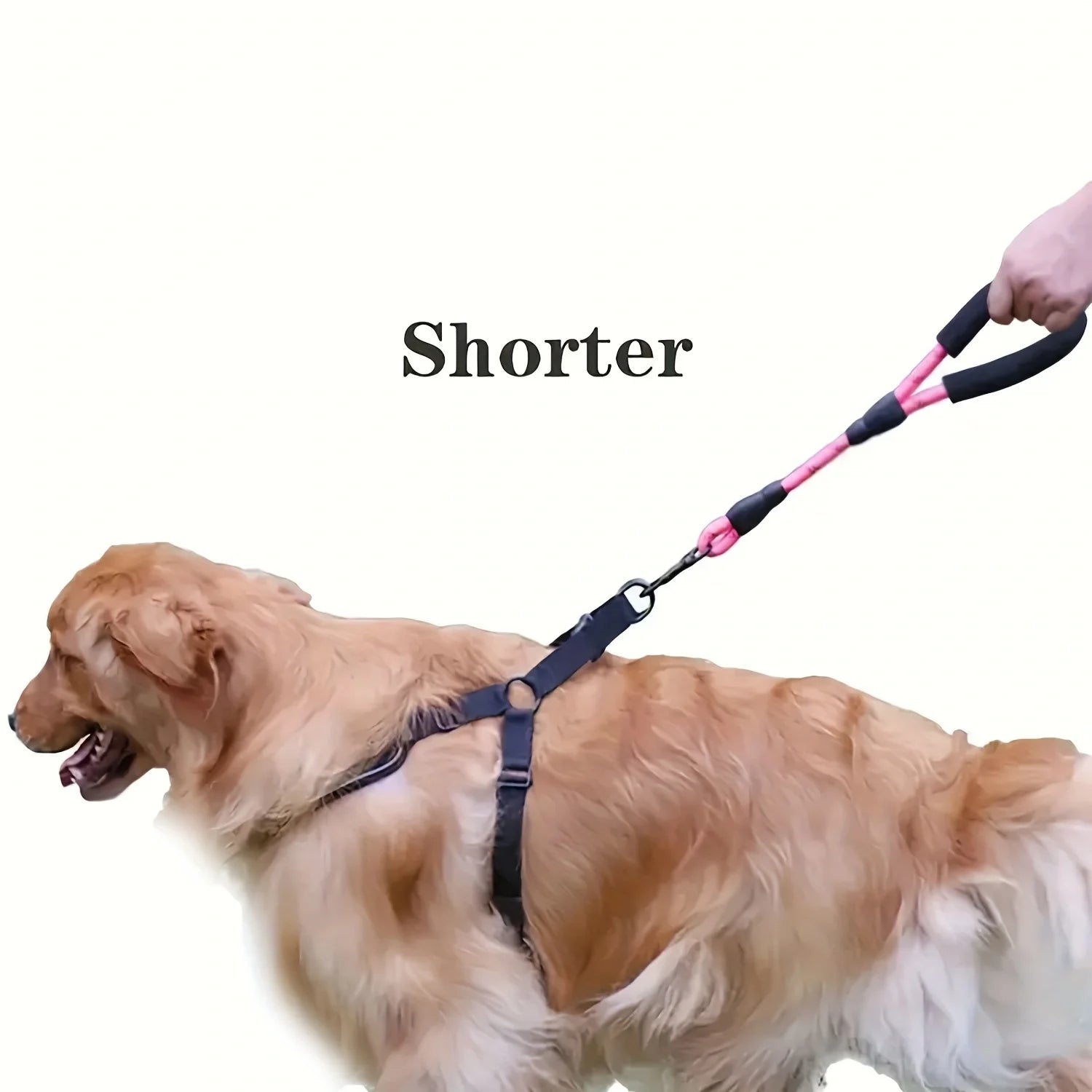 Nylon Reflective Stretch Big Dog Harness Pet Dog Accessories for Small Medium Large Dogs Dog Walking Cat Collar Dog Leash