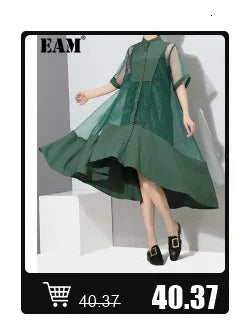 [EAM] High Elastic Waist Black Pleated Mesh Casual A-line Half-body Skirt Women Fashion Tide New Spring Autumn 2026  1DH5148