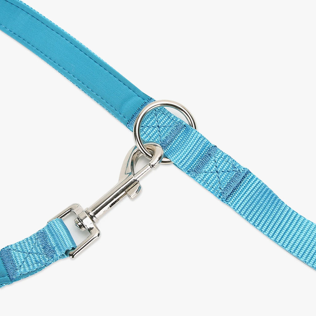 Multifunctional Dog Leash,Adjustable Length Multipurpose for Medium & Large Dogs,Convertible Hands Free,Crossbody,Over Shoulder