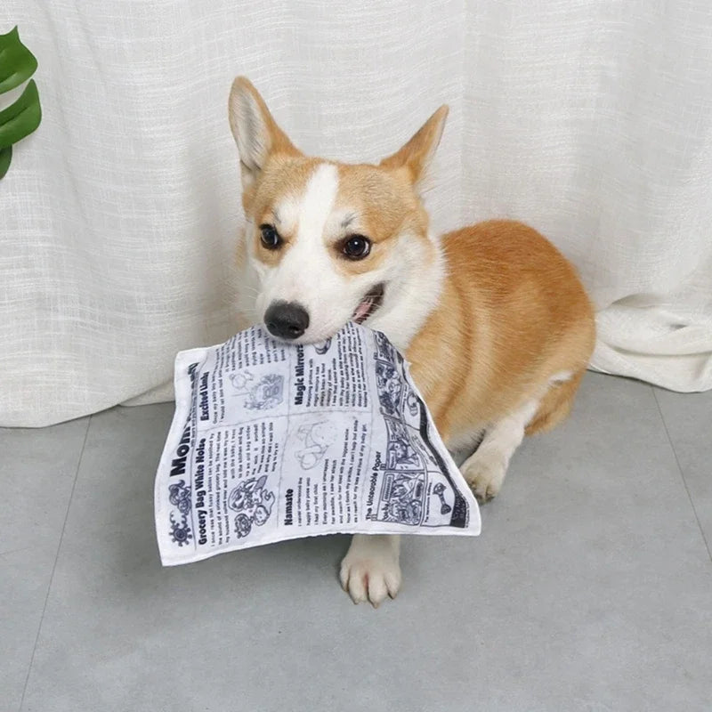 Dog Squeak Toy Puppy Toy Unstuffed Chew Toy for Dog Teething Soft Pet Toy Newspaper Shaped Bright Colors